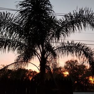 Meet your Posher, Sherry